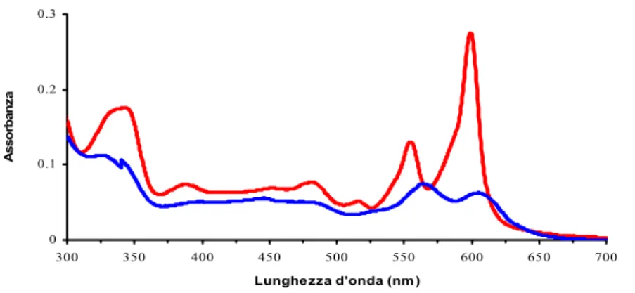 Fig. 15 Spettro d’assorbimento dell’ipericina sotto forma di aggregati polidispersi (spettro blu) e in forma  monomerica (spettro rosso)