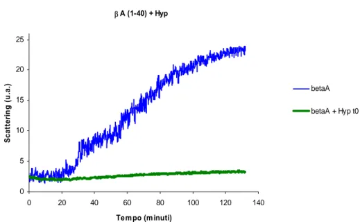 Fig. 28 Effetto dell’Hyp (5µM) aggiunta all’inizio della fase di latenza (curva verde) sulla cinetica di  aggregazione del βA 1-40  (150 µM)