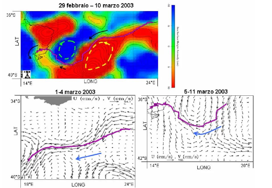 Figura  19.  Rotta  della  tartaruga  18262,  tra  il  29  febbraio  e  il  10  marzo  2003,  sovrapposta  a  immagini  di  anomalie  dell’altimetria  dell’oceano  e  di  velocità  geostrofica  corrispondenti  al  passaggio  dell’animale,  a  sud  dell’Afr