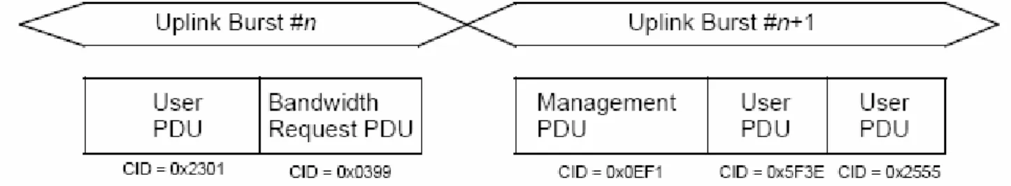 Figure 3.6 – MAC PDU formats. 