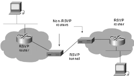 Figure 5.3 – RSVP environment can feature a tunnel between RSVP-Based Networks. 