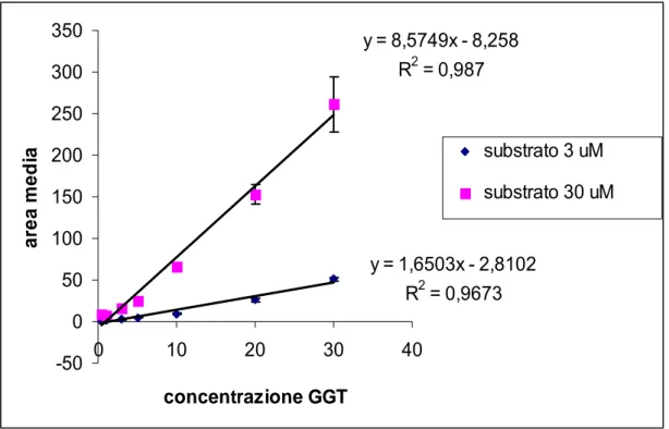 Fig 4.2. Curve di calibrazione della GGT bovina a due diverse concentrazione di  substrato (3 e 30 μM)