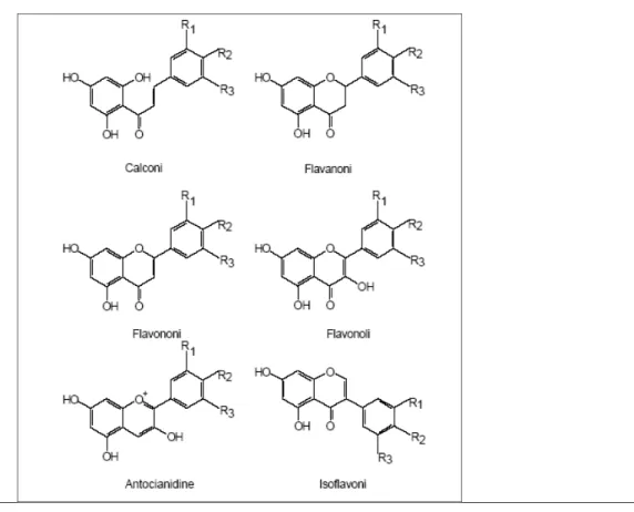 Figura 7: Formule di struttura delle principali classi di flavonoidi. R1, R2, R3 possono essere  costituiti da: H, OH e OCH3.