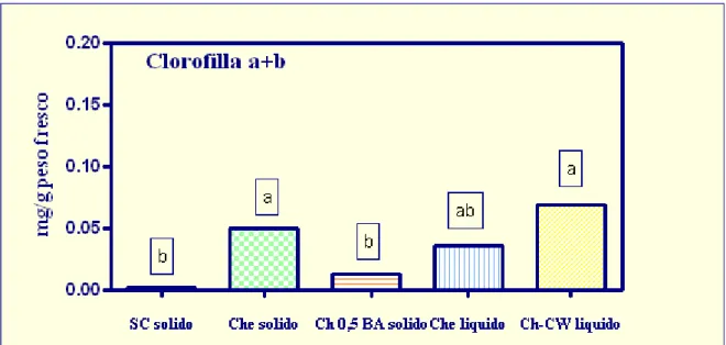 Figura 26: Contenuto di clorofilla e carotenoidi per il callo di E.angustifolia cresciuto in vitro su  differenti substrati di crescita: SC solido (2 mg/l BA e 2 mg/NAA), Che solido e liquido (3 mg/l BA e 
