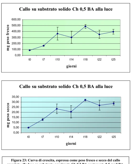 Figura 23: Curva di crescita, espressa come peso fresco e secco del callo  cresciuto alla luce su substrato agarizzato Ch 0,5 BA contenente 0,5 mg/l BA