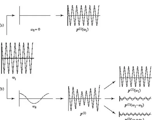 Figura 1: Dipendenza dal tempo dei dipoli indotti lineari p (1) prodotti da una radiazione elettromagnetica di frequenza ωl