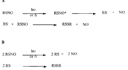 Figura 2.12: Decomposizione termica e fotochimica degli RSNO 