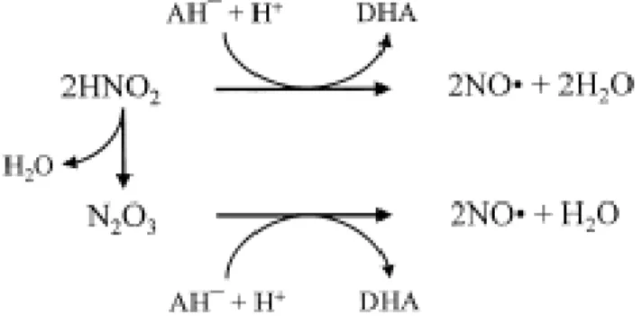 Figura  2.15:  Riduzione  dei  nitriti  ad  opera  dell'acido  ascorbico.  AH:  acido  idroascorbico; DHA: acido deidroascorbico