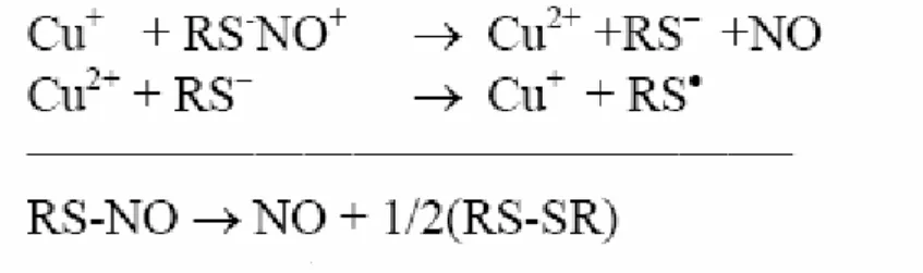 Figura 2.8: Meccanismo di decomposizione degli RSNO ad opera di ioni rame 