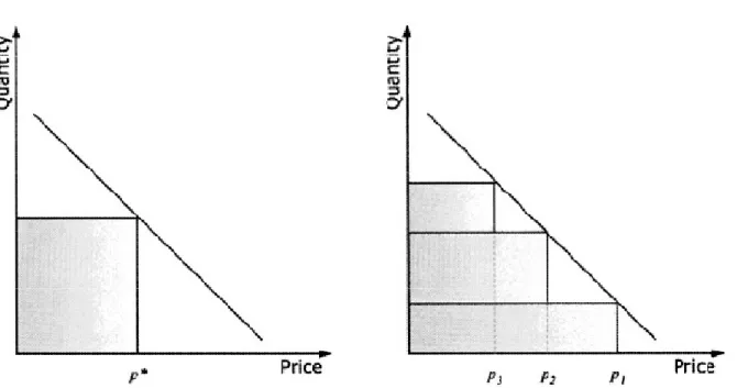 Figura 17 Monopolio - Analisi grafica della discriminazione di prezzo     
