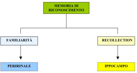 Figura 8    Le due componenti della memoria di riconoscimento    