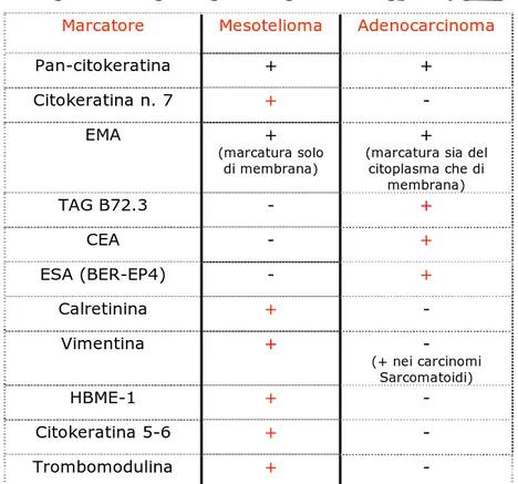 Tab. n 2 Anticorpi utili nella diagnosi differenziale tra Mesotelioma e Adenocarcinoma