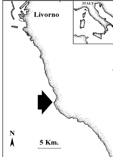 Fig. 2.1.  E’ tracciato il profilo costiero del tratto 