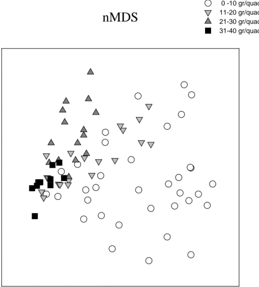 Fig. 3.1 nMDS rappresentante il popolamento di pozze di scogliera in rapporto alla 