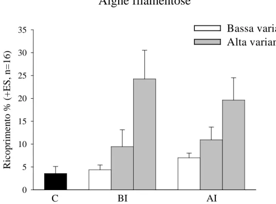 Fig: 3.3 Abbondanza media di alghe filamentose nei trattamenti sperimentali. 