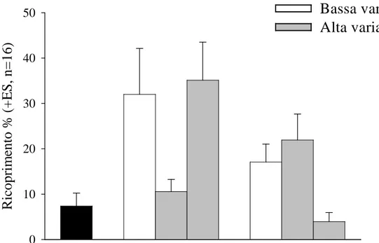 Fig: 3.6 Abbondanza media di Halopteris scoparia nei trattamenti sperimentali. 