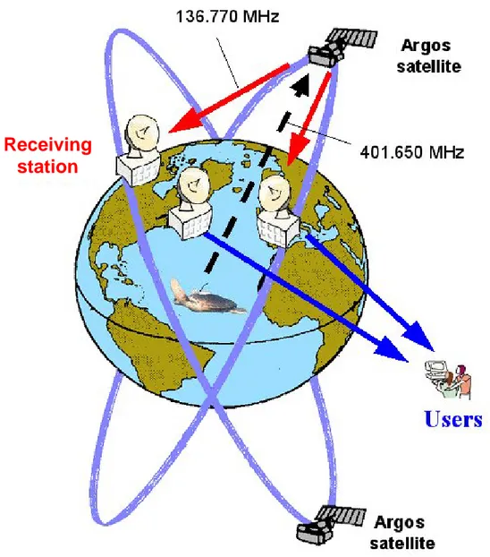 Fig. 2.1 Schematic functioning diagram of the Argos System. Platform transmission  (signal with frequency of 401.650 MHz) is received from satellites and relayed to the  receiving ground stations (signal with frequency of 136.770 MHz), which process data  