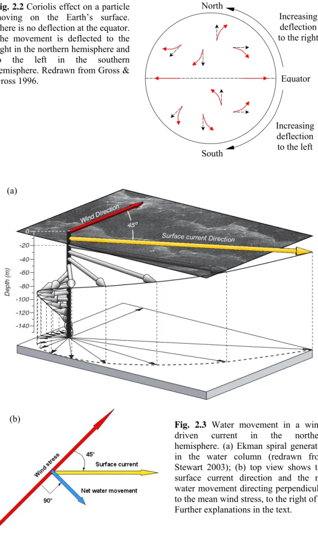 Fig. 2.3 Water movement in a wind- wind-driven current in the northern  hemisphere. (a) Ekman spiral generated  in the water column (redrawn from  Stewart 2003); (b) top view shows the  surface current direction and the net  water movement directing perpen