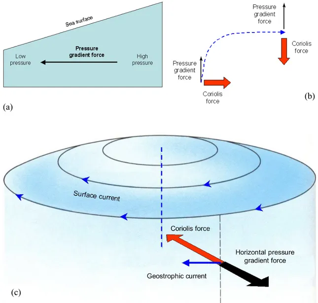 Fig. 2.4 (a) Sea surface slope produced by difference in water density and consequent  pressure gradient force forming from regions of high pressure to regions of low pressure;  (b) water deviation under the effect of the Earth’s rotation; (c) water flowin