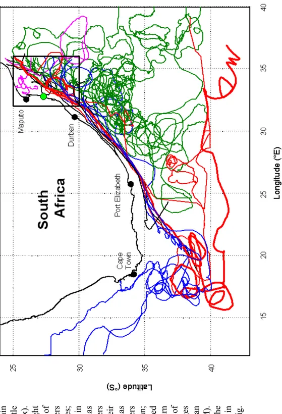 Fig. 3.1.4 Routes of 21  Lagrangian surface drifters tracked as they passed within 