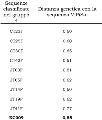 Tab. 13: Identità genetica dell’isolato ViPISal  rispetto ad alcuni isolati della banca dati 