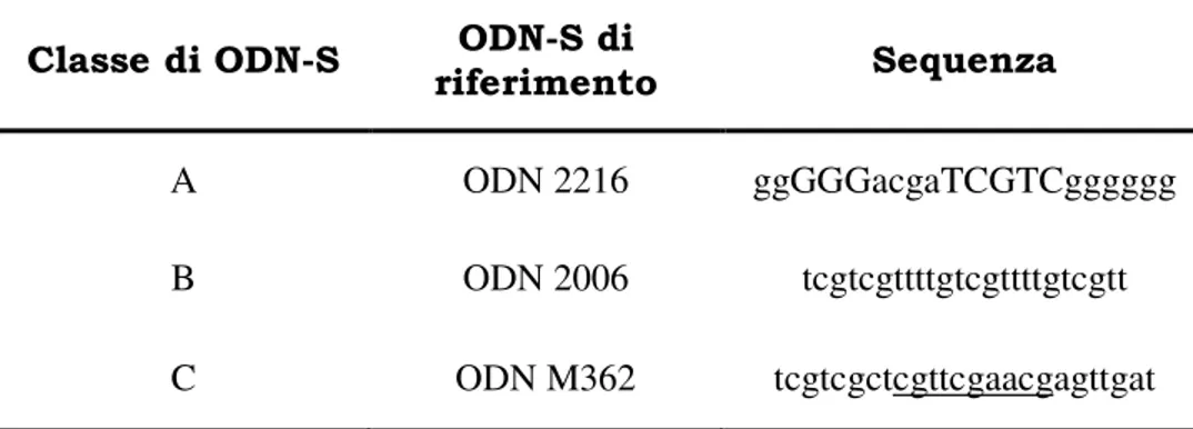 Tab  2:  Esempi  delle  tre  classi  di  ODN-S.  Nella  sequenza  è  rappresentato  con  la  lettera  minuscola  il  legame  fosforotioato,  con  la  lettera  maiuscola  il  legame fosfodiestere; la sottolineatura indica sequenze palindromiche