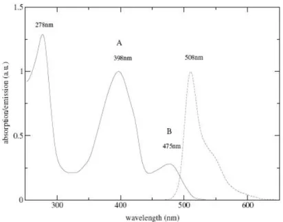 Figura 1.10: Spettri di assorbimento nel visibile e vicino UV (linea continua) e di emissione (linea tratteggiata) della wild-type GFP.