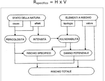 Figura 8.5  Diagramma di flusso per la definizione del rischio (Simonetti, 2002)  In figura 8.6, la relazione [8.3] viene rappresentata in un piano cartesiano, con il danno  potenziale D in ascisse e la pericolosità H in ordinate