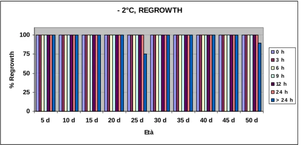 Figura 3.1: percentuale di regrowth delle piante sottoposte a trattamento di congelamento alla 