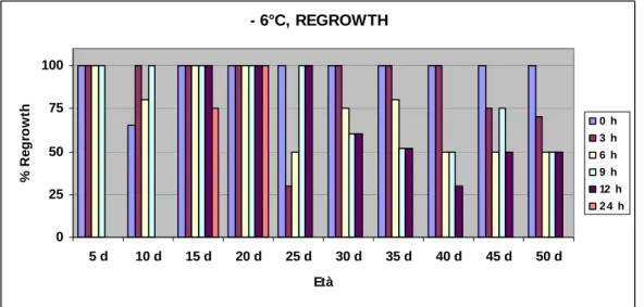 Figura 3.3: percentuale di regrowth delle piante sottoposte a trattamento di congelamento alla 