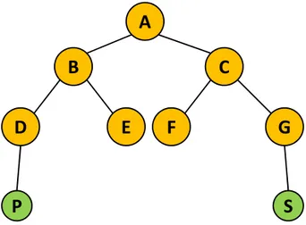 Figure 1.3: A standard ENS.