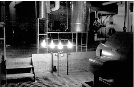 Fig. 1.2. First Atomic Light:  EBR-1, first reactor in world to  produce electricity. Arco,  Idaho, 1951