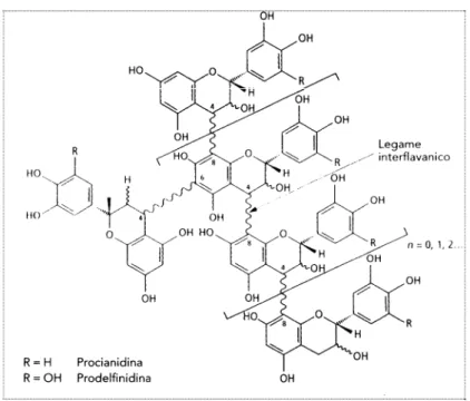 Figura 40. Struttura dei flavan-3-oli, precursori delle procianidine e dei tannini (Riberau-Gayon et  al