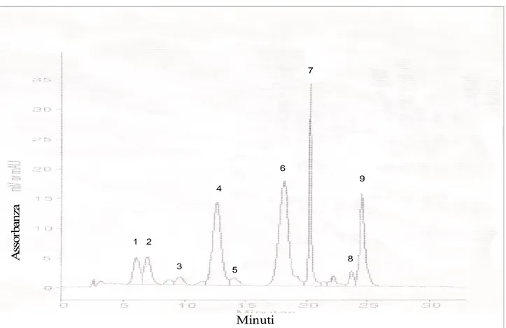 Figura 59. Cromatogramma HPLC di carotenoidi e clorofille estratte da uva Ciliegiolo. Picchi : (1)  Neoxantina, (2) Violaxantina, (3) Anteraxantina, (4) Luteina, (5) Zeaxantina, (6) Clorofilla B, (7)  Clorofilla A, (8) α-carotene, (9) β-carotene
