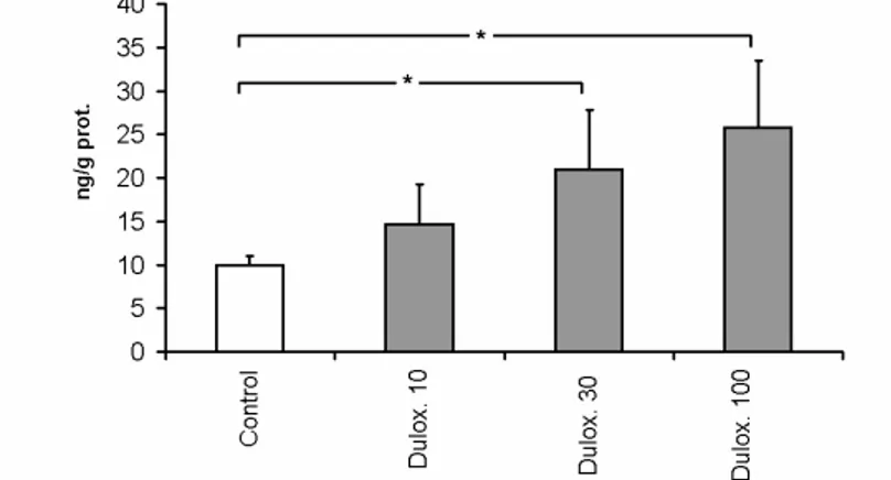 Fig. 13 Variazione di BDNF nella Corteccia Prefrontale di ratti trattati con  Duloxetina 10-30-100 mg/Kg per 14gg 