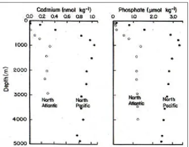 Figura 1.6: Profilo del cadmio nel Nord Atlantico e nel Nord Pacifico. Il profilo del fosfato è mostrato per un confronto.