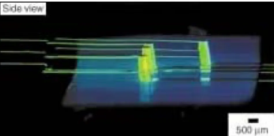 Figura 1.2 Fotografia a fluorescenza di una cella di fusione 3D  con elettrodi multipli e possibilità di generazione di gradienti 