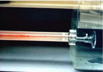 Figura 2.5 Moto turbolento del filamento di inchiostro  in una soluzione trasparente 