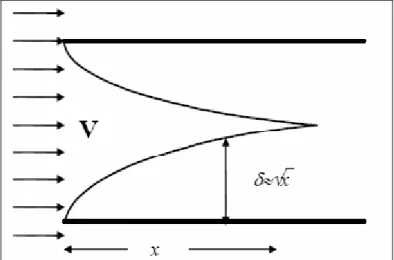 Figura 2.2 Strato limite di un fluido in un tubo 