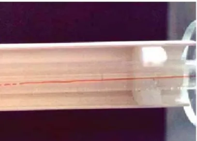 Figura 2.3 Moto laminare di un filamento di inchiostro  in una soluzione trasparente 