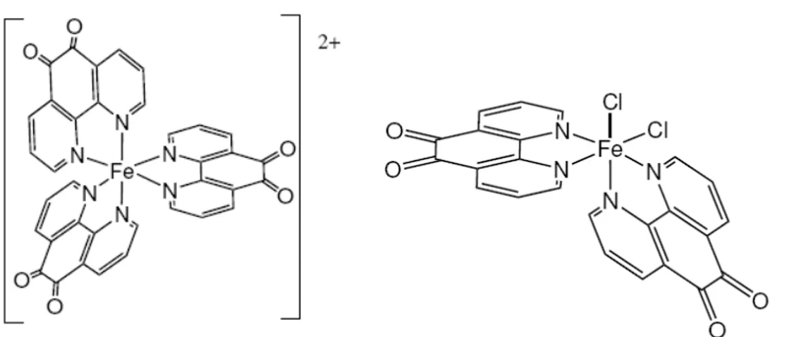 Figura 1.28: Strutture ipotizzate per i composti [Fe(N,N’-C 12 H 6 N 2 O 2 ) 3 ] FeCl 2 (N,N’-C 12 H 6 N 2 O 2 ) 2 ,
