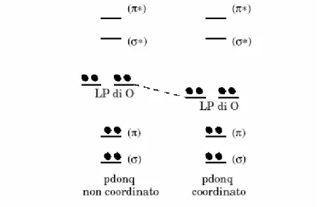 Figura 1.14: Struttura ipotizzata per MCl4(N,N’- C12H6N2O2), M = Ti, Zr, Hf 