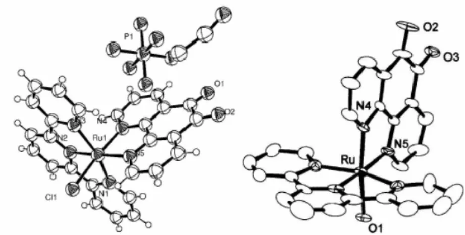 Figura 1.19: Strutture molecolari dei complessi Ru(N N’-C 12 H 6 N 2 O 2 )Cl(N,N’,N’’-tripy) +  e Ru(N N’- N’-C12H6N2O2)(H2O)(N,N’,N’’-tripy) 