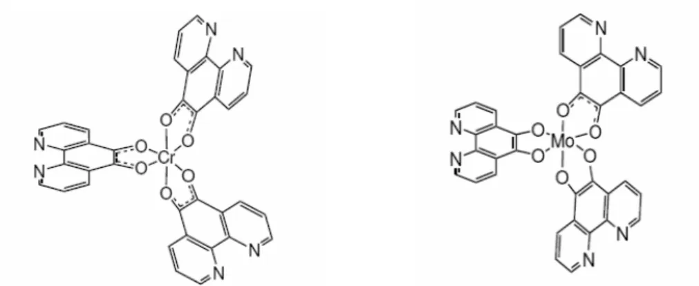 Figura 1.25: Ipotesi di struttura per i composti M(O,O’- C12H6N2O2)3 M= Cr, Mo 