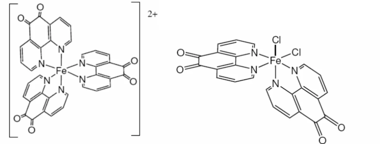 Figura 1.27: Strutture ipotizzate per i composti [Fe(N,N’-C12H6N2O2)3] e FeCl2(N,N’-C12H6N2O2)2, 