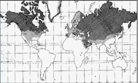 Figura 1.3.1: Areale pregresso (chiaro) e attuale (scuro), modificata da Carbyn, 1987
