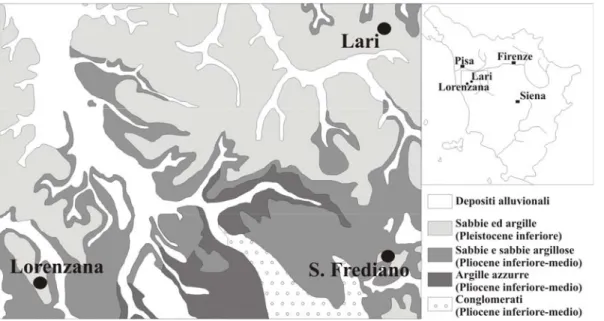 Fig. n. 8. Carata geologica dell’area compresa tra Lorenzana e Lari (Pisa).  (modificato da Marroni et al., 1990) 