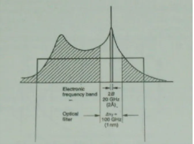 Figura 1.9  Confronto tra le bande di ASE, la banda del filtro ottico e di quello elettrico di ricezione    