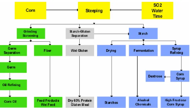 Figura 2 schema del processo wet milling (fonte  www.ethanol.org ). 
