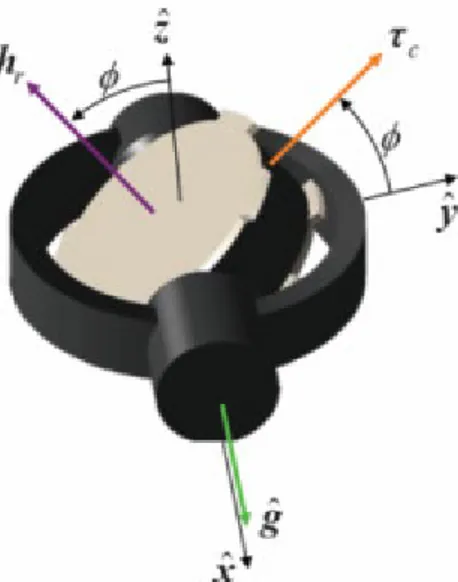 Fig. 3.2 Disposizione della coppia fornita dal CMG rispetto al momento del rotore     